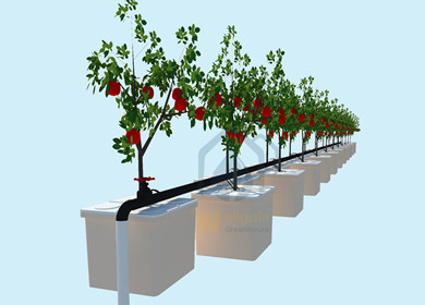 Hydroponic System