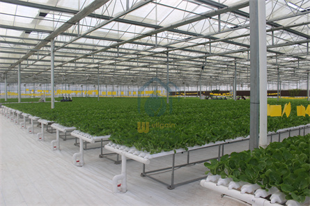 Greenhouse trough system