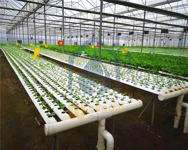 Hydroponics greenhouse growing system planting trough