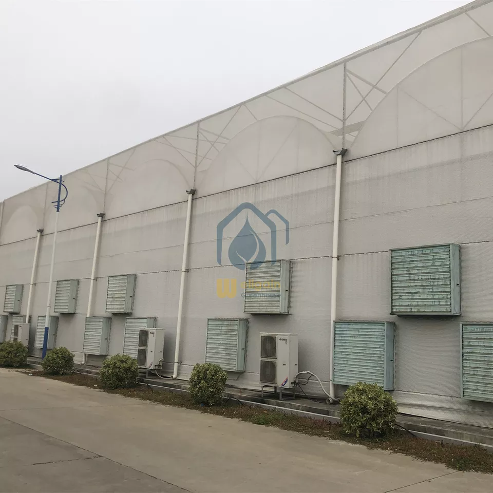 Multi span greenhouse supplier