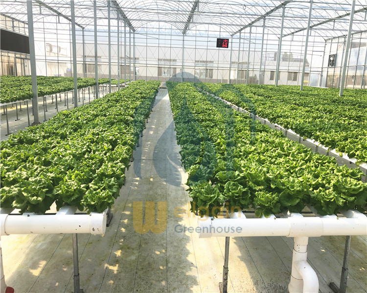 greenhouse climate control
