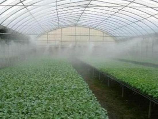 Climate controlled greenhouse