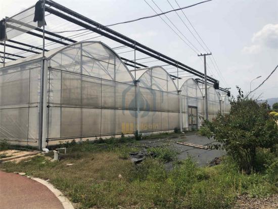 Hydroponic greenhouse for sale