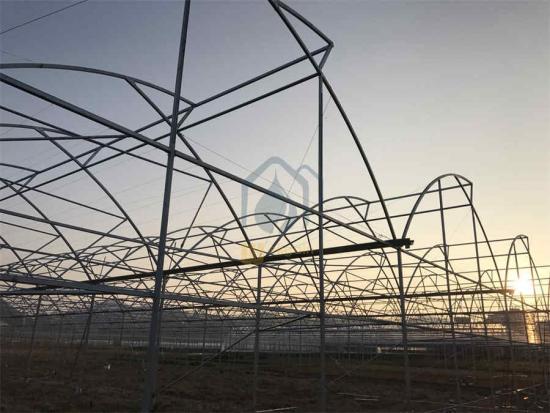 Cheap light dep greenhouse