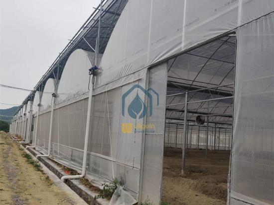 Large commercial greenhouse