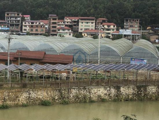 Tomato greenhouse