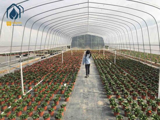 High tunnel greenhouse