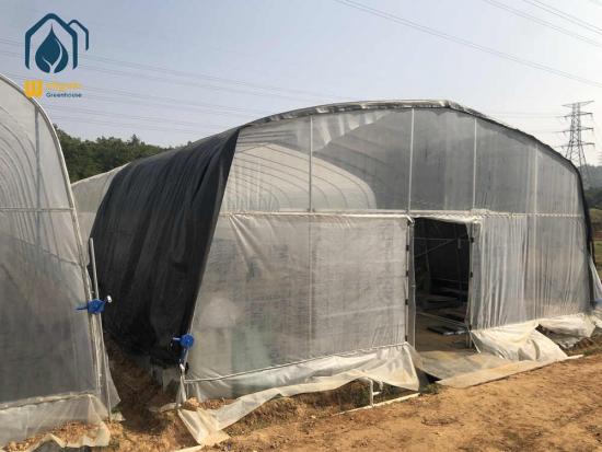 Greenhouse tunnels for sale