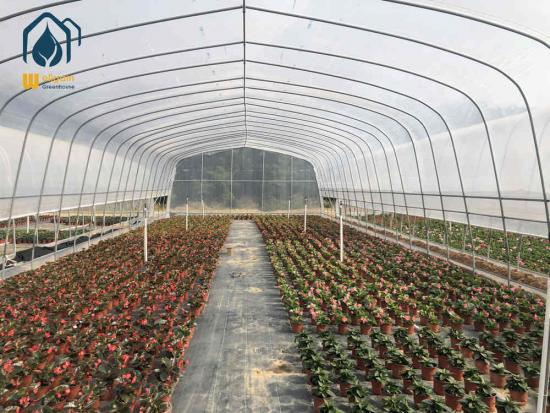 Greenhouse tunnels for sale