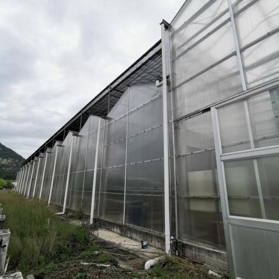 Polycarbonate greenhouse