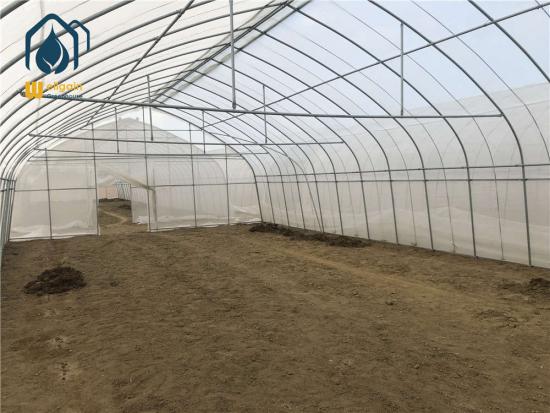 Greenhouse Tunnel