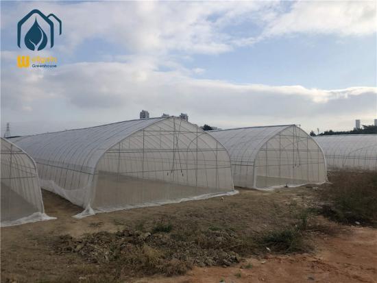 Vegetable Growing Tunnel Greenhouse