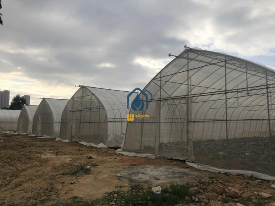 Tunnel Greenhouse