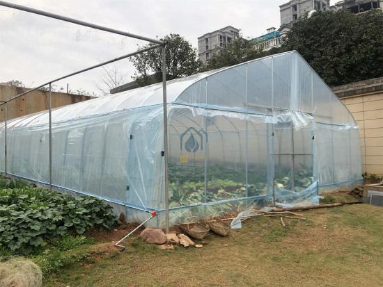 poly tunnel greenhouse