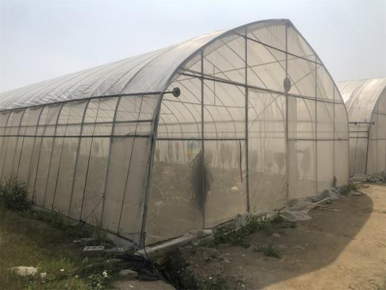 Greenhouse farming