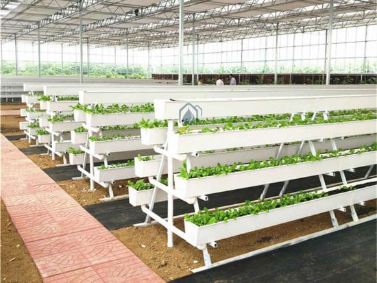 A hydroponic frame