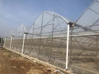 Low Cost Agriculture Greenhouse
