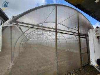 Poly tunnel greenhouse