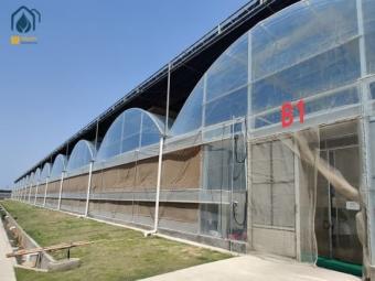 greenhouse manufacturers