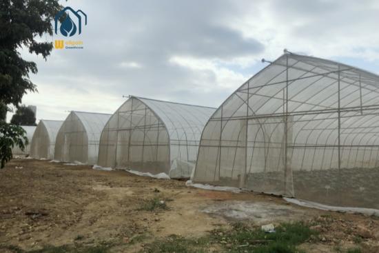 Wholesale hydroponics greenhouse construction factory
