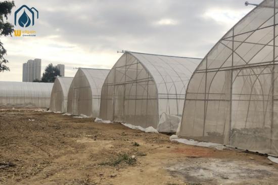 Single-span Polytunnel Greenhouse