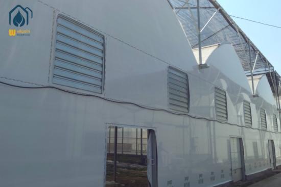 Multi-span film greenhouse