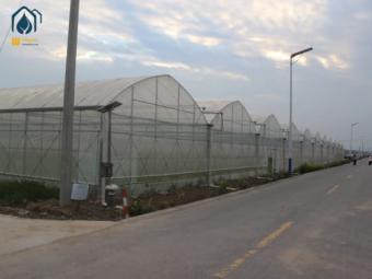 film greenhouse