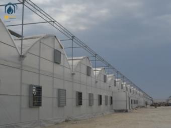 China commercial greenhouse construction supplier