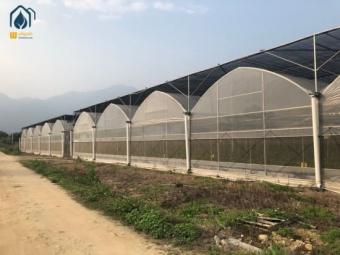 China hydroponics greenhouse construction factory