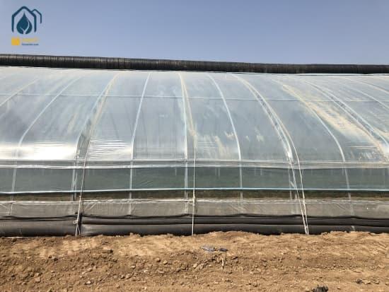 Modern growing solutions in greenhouse