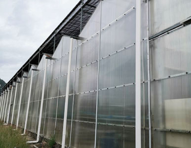 The reason for the big price difference of PC board in polycarbonate greenhouse