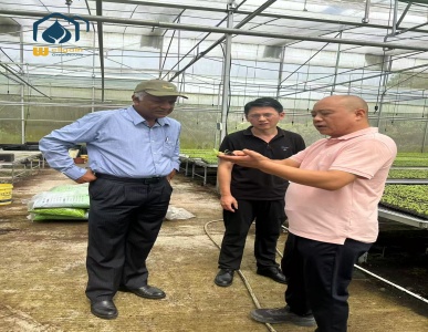 Overseas Clients Visit Our Base, Show Keen Interest in NFT System