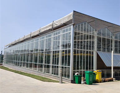 Intelligent control of high-tech glass greenhouse hydroponics