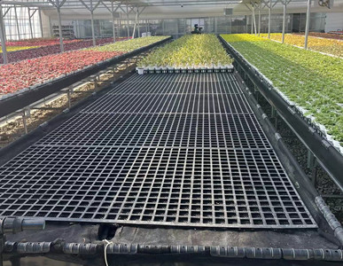 High quality plastic seedbed net greenhouse moveable tables