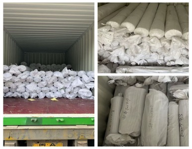 Greenhouse Film Has Been Shipped!