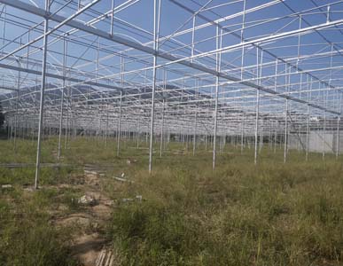 The greenhouse frame installation is completed on the self-built farm